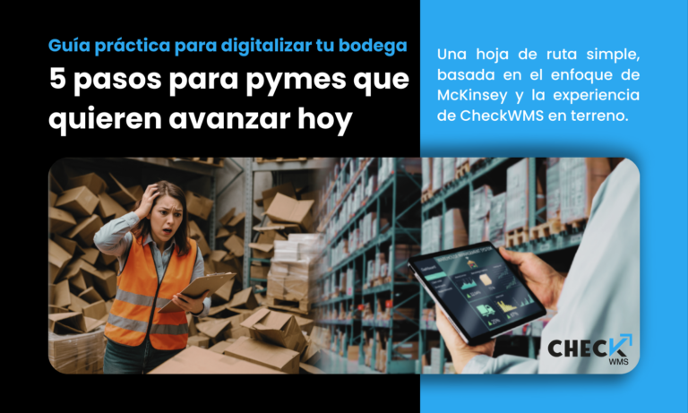 guía practica digitalización pymes